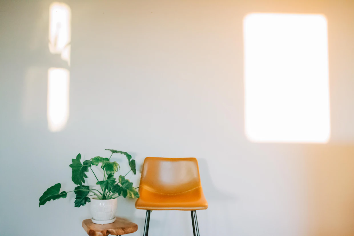 Une chaise vide et une plante en pot dans une pièce calme, avec la lumière de l'après-midi sur le mur.