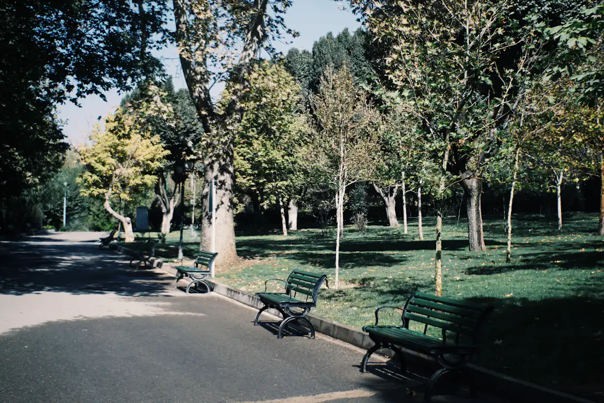 Un sentier pavé et plat dans un parc le matin, bordé de bancs verts déserts.