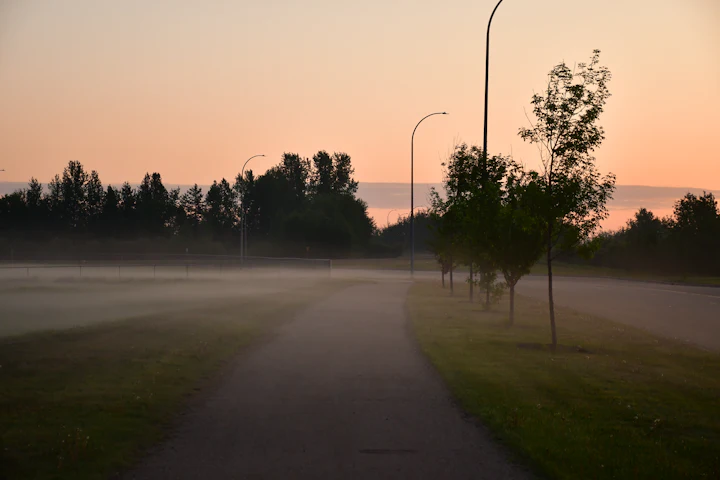 Un sentier pavé et plat traversant un parc à l'aube, la brume posée sur l'herbe, sans personne.